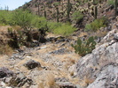 photo thumbnail #2