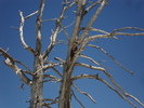 photo thumbnail #11