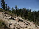 photo thumbnail #12