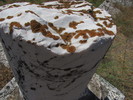 photo thumbnail #14
