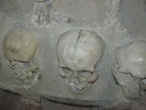 photo thumbnail #11