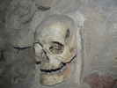 photo thumbnail #12