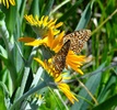 photo thumbnail #6