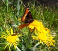 photo thumbnail #8