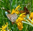 photo thumbnail #9