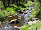 photo thumbnail #11
