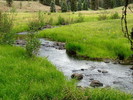 photo thumbnail #12