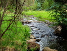 photo thumbnail #14