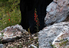 Featured Detail Photo