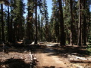 photo thumbnail #3