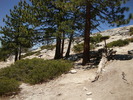 photo thumbnail #12