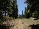 photo thumbnail #14