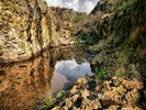 photo thumbnail #10