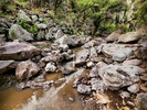 photo thumbnail #14