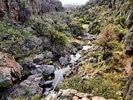 photo thumbnail #15