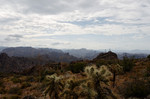 photo thumbnail #4