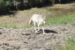photo thumbnail #8