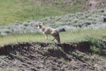photo thumbnail #9