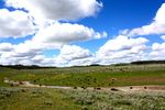 photo thumbnail #10