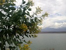 photo thumbnail #1