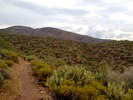 photo thumbnail #3