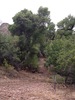 photo thumbnail #11