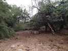 photo thumbnail #12