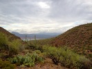photo thumbnail #14