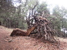 photo thumbnail #12