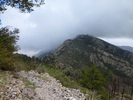 photo thumbnail #13
