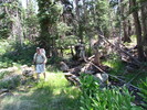 photo thumbnail #6