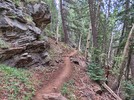 photo thumbnail #7