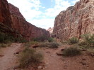 photo thumbnail #15