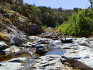 photo thumbnail #14