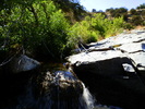 photo thumbnail #15