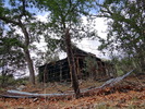 photo thumbnail #12