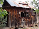 photo thumbnail #13