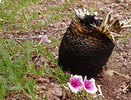 photo thumbnail #2