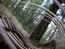 photo thumbnail #13