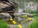 photo thumbnail #14