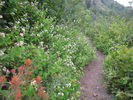 photo thumbnail #8