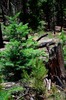 photo thumbnail #7