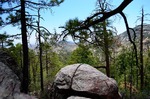 photo thumbnail #8