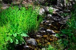 photo thumbnail #12
