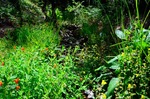 photo thumbnail #13