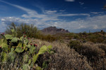 photo thumbnail #7