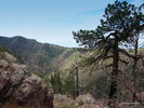 photo thumbnail #5