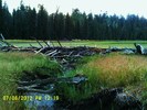 photo thumbnail #1