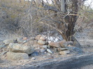 photo thumbnail #6