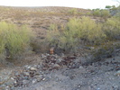 photo thumbnail #8